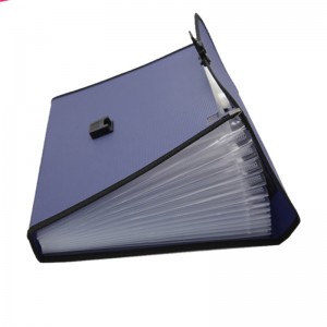 Разширяваща се папка A4 размер на буква PP Пластмаса 13 джоба Мулти джобен организатор Разширяващ се файл