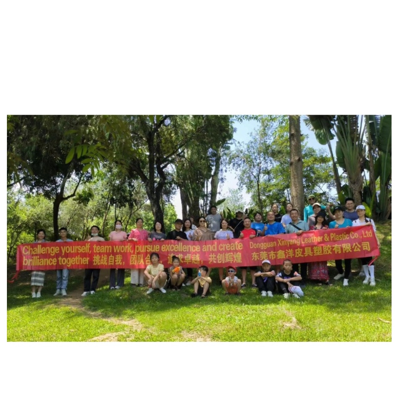 Ентусиазмът на партньорите за изграждане на екип на компанията не е аабитен, точно като слънцето през юли. Хайде