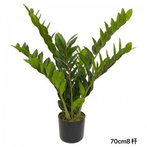 Парично дърво изкуствено дърво