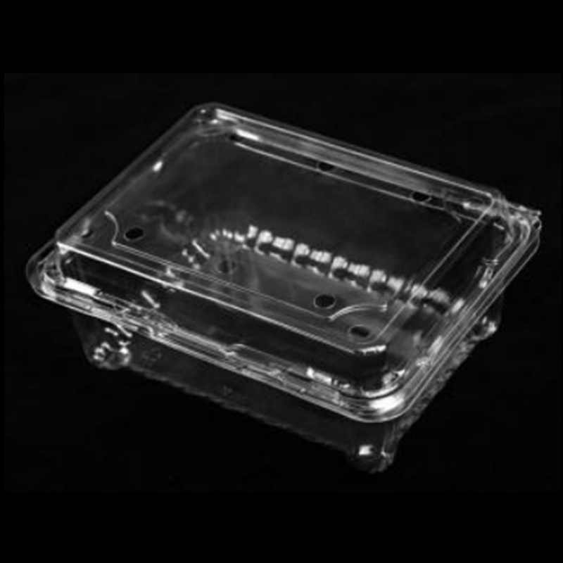 Плодова кутия с капак 175*137*75 mm Hgf-500M