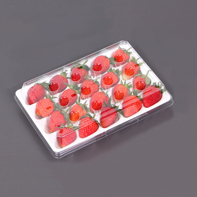 Ягодова кутия (20 ягоди) 225*120*40 mm cm-20