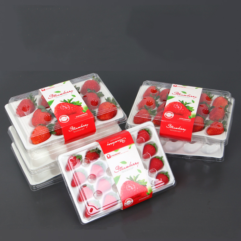 Ягодова кутия (20 ягоди) 225*120*40 mm cm-20