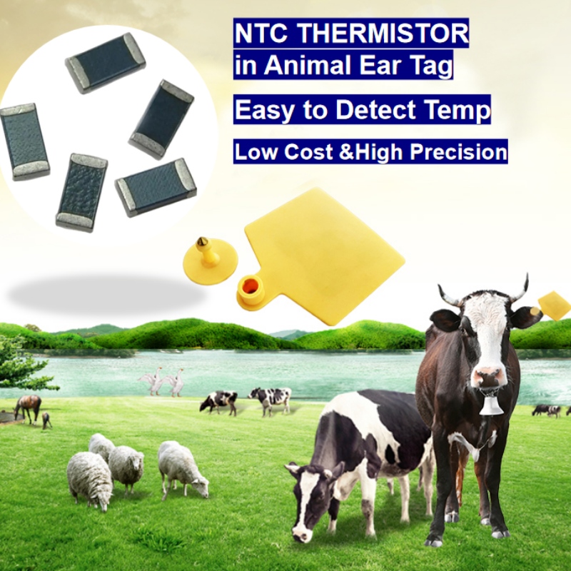 NTC термисторен сензор за температура при животински ухо таг интелигентно развъждане