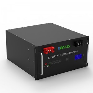 Багажник, монтиран 48V 100/150 200ah lifepo4 Домашни уреди, подредени