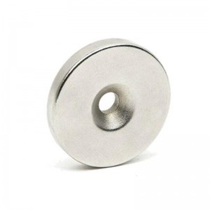 Цилиндричен магнит на главата