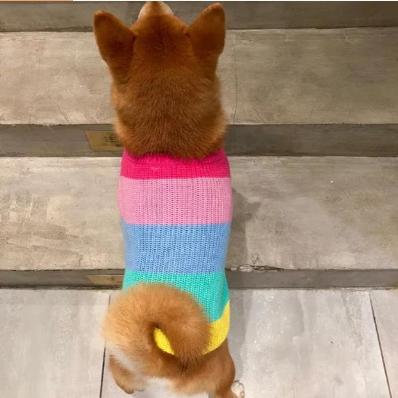 Производител персонализиран зимен памучен плетен котки палта пуловер за домашни любимци