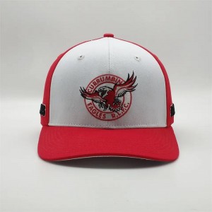 Персонализирана висококачествена 6 панелна бродерия Дву тонална предварително извита шапка с нисък профил памучен татко бейзбо...