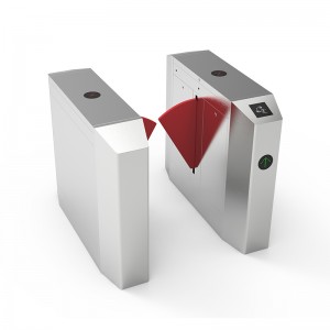 Осмоъгълна порта на крилото