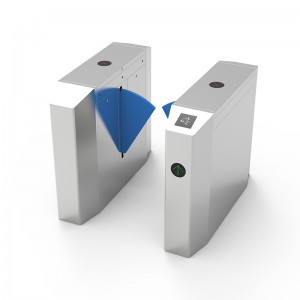 Осмоъгълна порта на крилото (синя плоча)