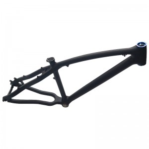 China Manufacturer Carbon Fiber Ficle Frame Custom Carbon Road File Frame