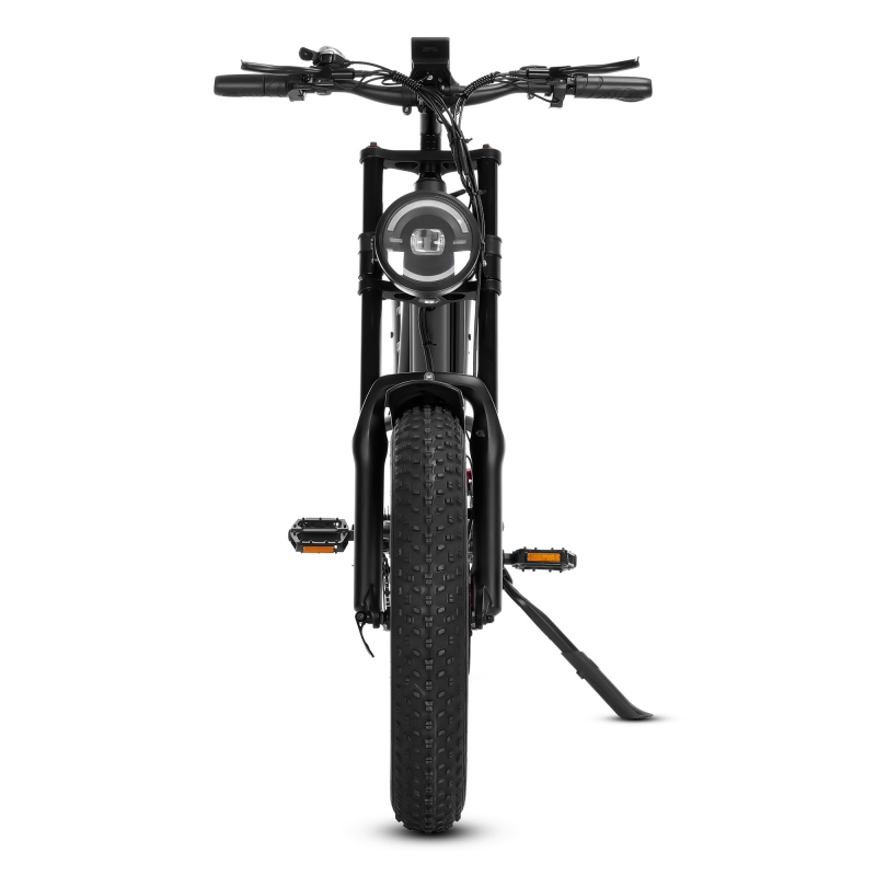 20 -инчов електрически велосипед с дебела гума
