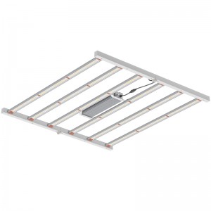 800W 4*4ft пълен спектър на градинарско осветление за оранжерия за закрито или търговско растящо светодиодно растеж Светлина