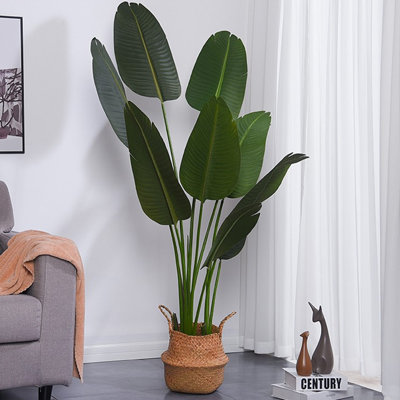 Фабрично директно изкуствено дърво трайно ярък AllSeason Traveller 'S Palm For Garden Dustom