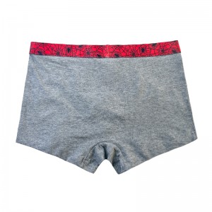 Момчето не се добива с паяк от печат цвят контраст бебе сиво underpants comfort basic