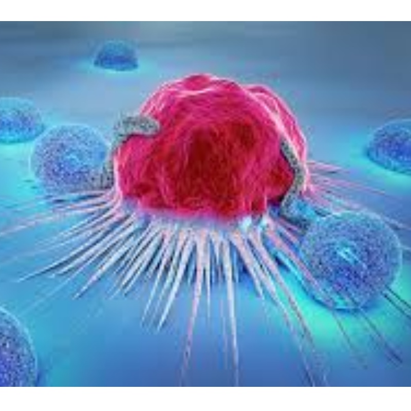 Япония: NMN се съпротивлява на стареенето на имунните клетки и инхибира 71,4% растеж на тумора