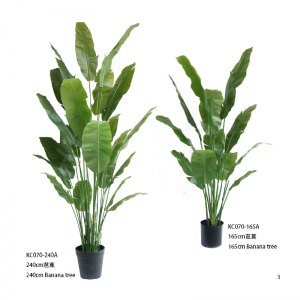 Бананово дърво