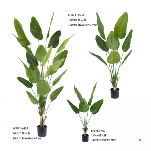 Дърво на пътниците