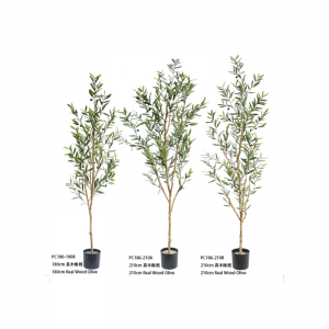 Оливър дърво