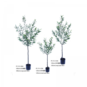 Оливър дърво