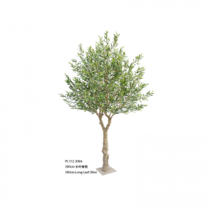 Оливър дърво Ⅱ