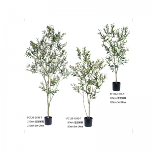 Оливър дърво Ⅱ