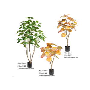 Честито бананово дърво