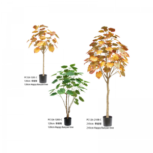 Честито бананово дърво