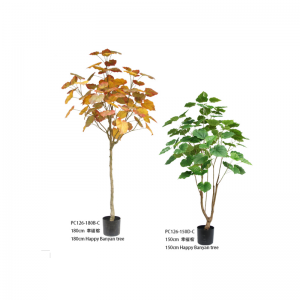 Честито бананово дърво