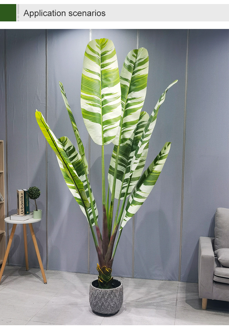 1709276389.jpg 详情_06.jpg