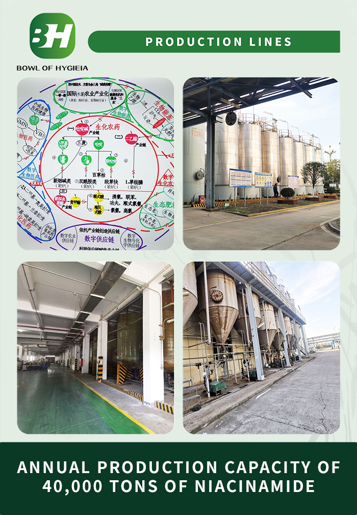 1704266543.jpg 3.jpg